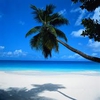 zonvakantie